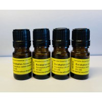 Eucalyptus Comparative Pack