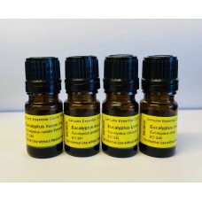 Eucalyptus Comparative Pack