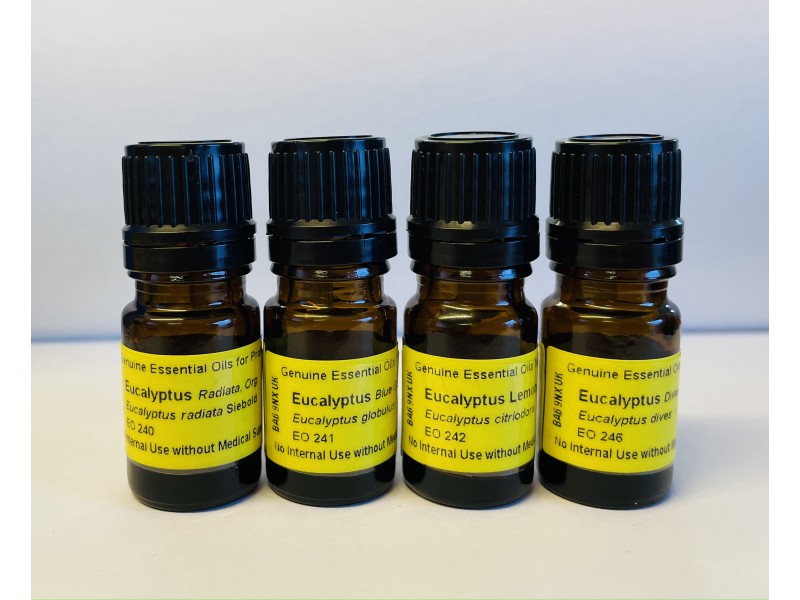 Eucalyptus Comparative Pack