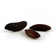 Tonka Bean Absolute