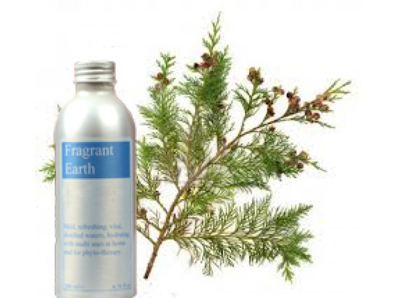 Cypress Aromatic Water 200ml