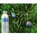 Juniper Aromatic Water 200ml