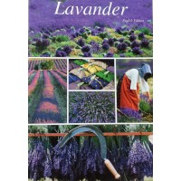 LAVANDER by Marc Guittery