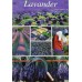 LAVANDER by Marc Guittery