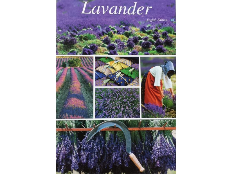 LAVANDER by Marc Guittery