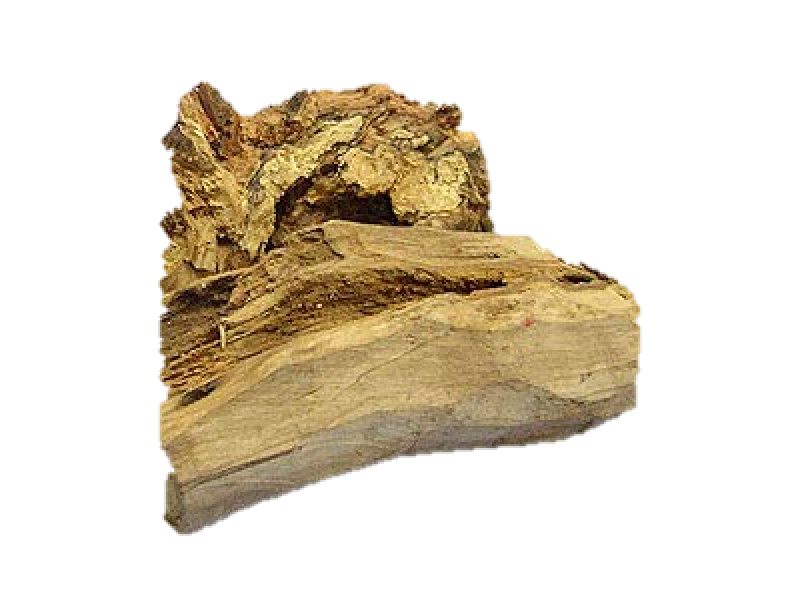 Amyris Wood Essential Oil (Amyris balsamifera)