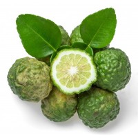 Bergamot, Citrus bergamia