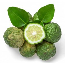 Bergamot, Citrus bergamia