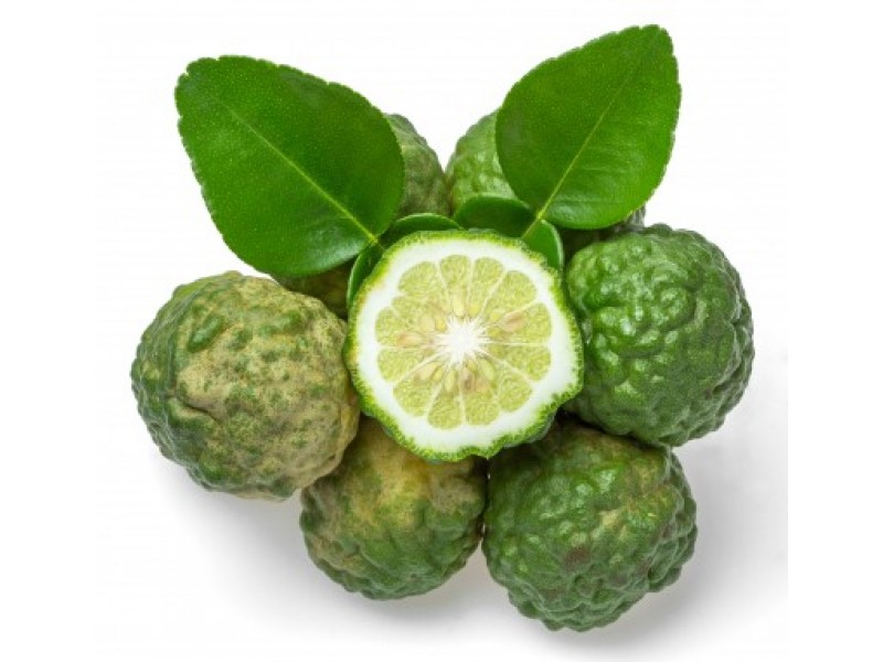 Bergamot, Citrus bergamia