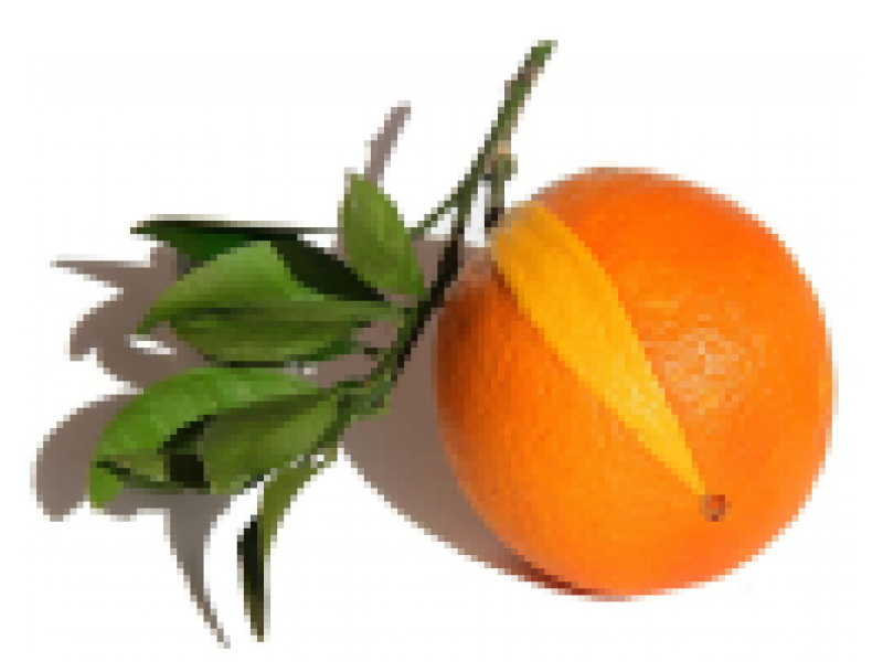 Bigerade: Citrus aurantium ssp.amara var.pumilia