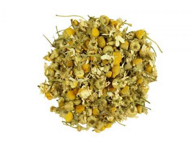 Chamomile, Wild Moroccan, Ormenis mixta