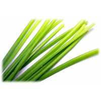 Citronella Grass: Cymbopogon nardus L.