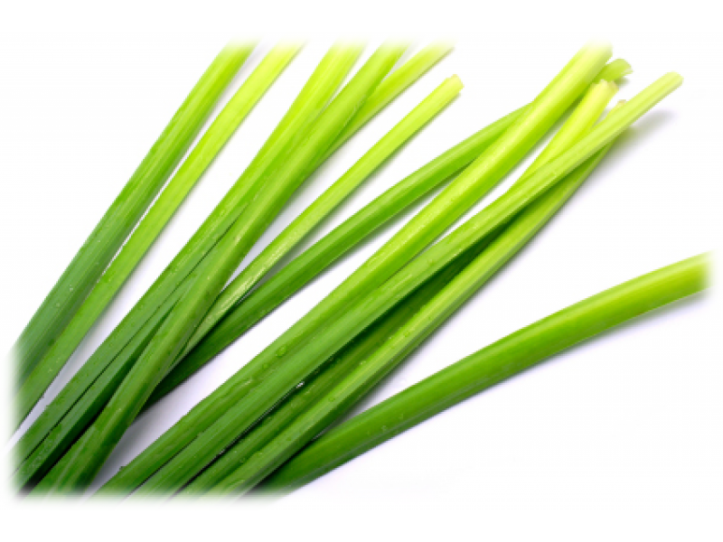 Citronella Grass: Cymbopogon nardus L.