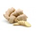 Ginger, Zingiber officinalis Roscoe