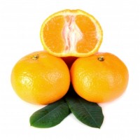 Petitgrain (Mandarin)