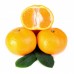 Petitgrain (Mandarin)