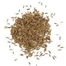 Caraway: Carum carvi L.