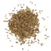Caraway Seed Essential Oil (Carum carvi)