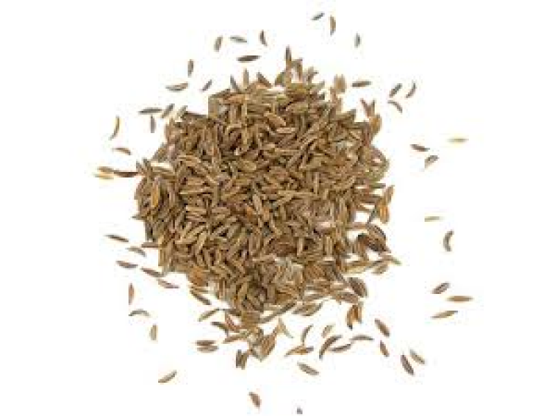 Caraway Seed Essential Oil (Carum carvi)