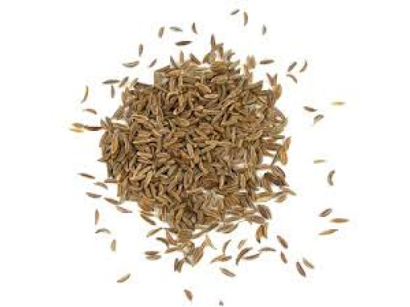 Caraway: Carum carvi L.