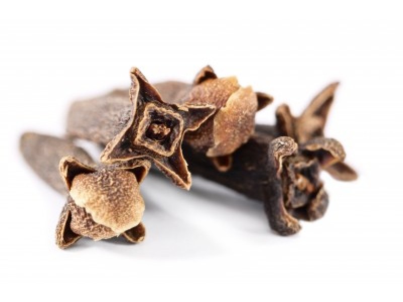 Clove: Syzgium aromaticum