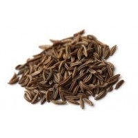 Cumin, Cuminum cyminum L.