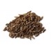 Cumin, Cuminum cyminum L.