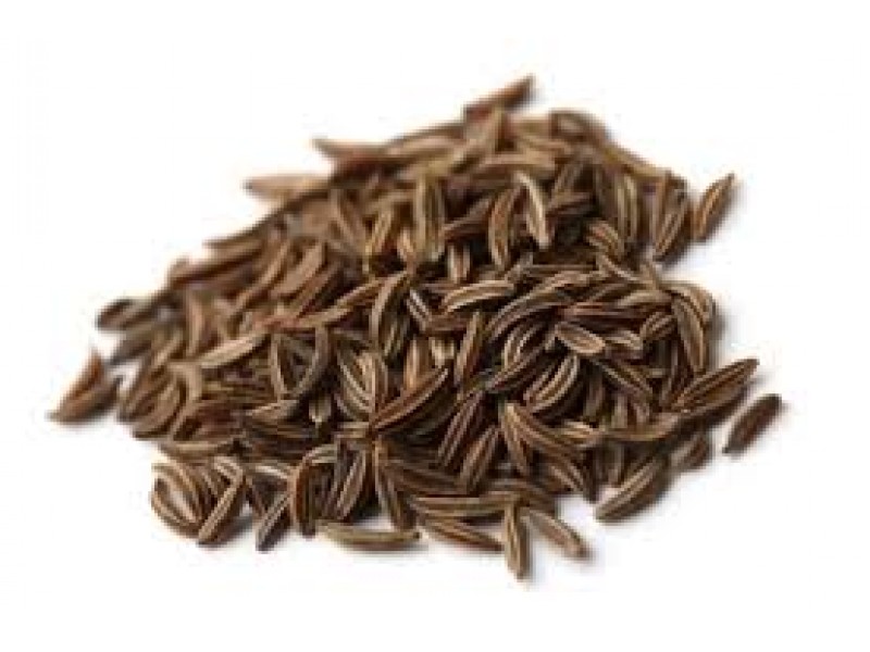 Cumin, Cuminum cyminum L.