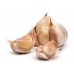 Garlic, Allium sativum ssp ursinum