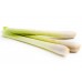 Lemongrass: Cymbopogon citratus DC Stapf