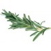 Rosemary: Rosmarinus officinalis 1.8 Cineole