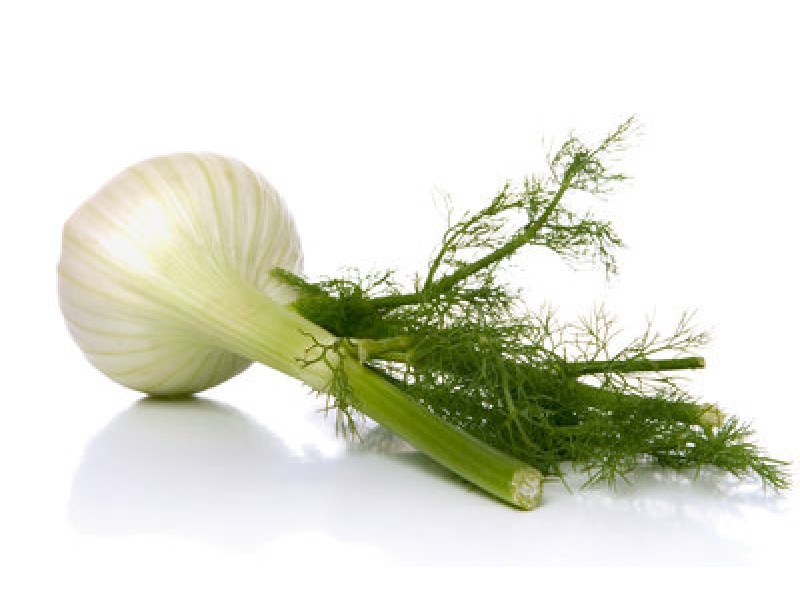 Fennel, Mild Garden, Foeniculum vulgare var.dulce