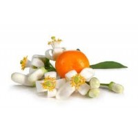 Neroli - (Bitter Orange Blossom) Citrus bigaradia Risso, C. aurantium L. ssp amara