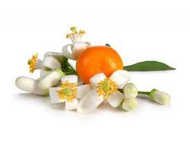 Neroli - (Bitter Orange Blossom) Citrus bigaradia Risso, C. aurantium L. ssp amara