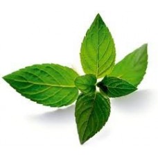 Peppermint Essential Oil 10ml