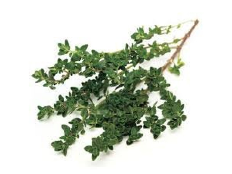 Thyme, Mild Provence Thymus vulgaris L. (Linalool)