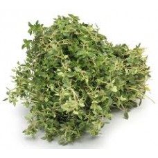 Thyme, Strong Provence Thymus vulgaris L. (Thymol)
