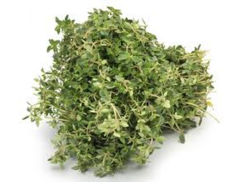 Thyme, Strong Provence Thymus vulgaris L. (Thymol)