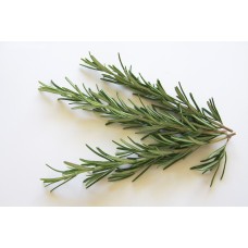 Rosemary Hydrolat, Organic.