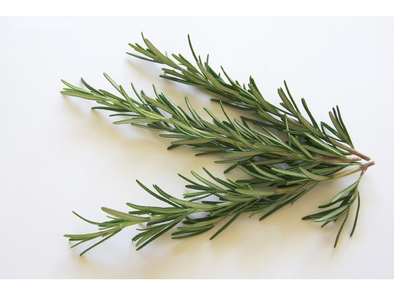 Rosemary Hydrolat, Organic.