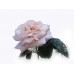 Rose Damascena Hydrolat, Organic