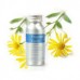 Arnica Herbal Oil 50ml