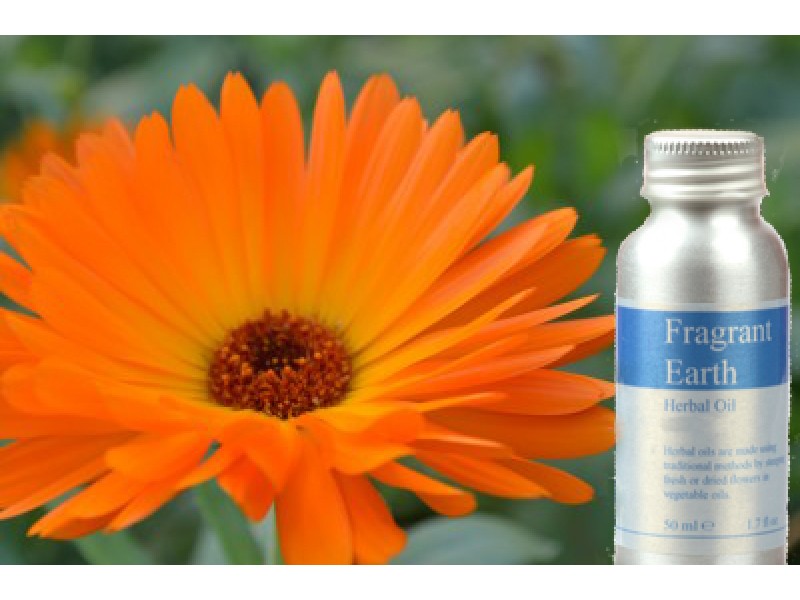 Calendula Herbal Oil 50ml
