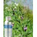 Comfrey Herbal Oil 50ml
