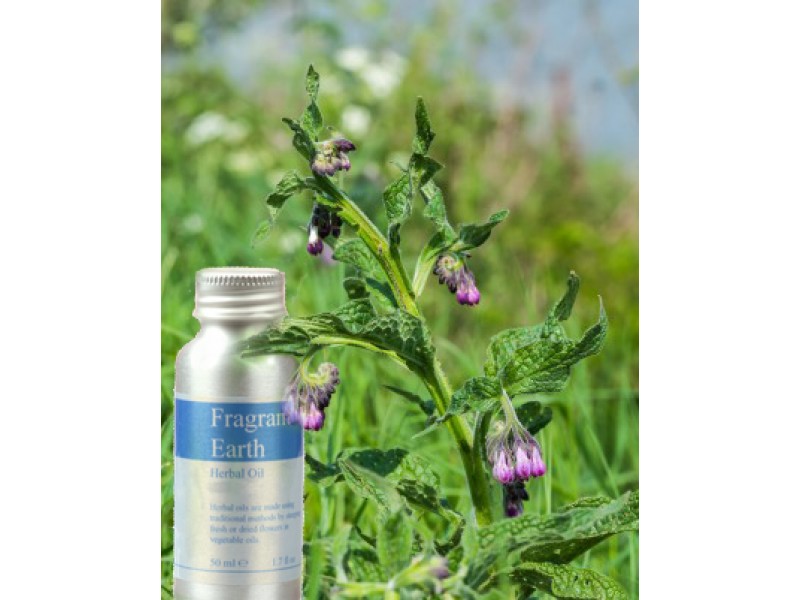 Comfrey Herbal Oil 50ml