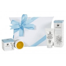 Odylique Gardeners Rescue Kit
