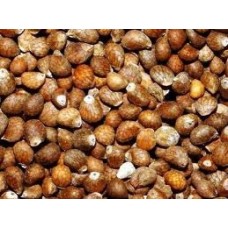Perilla Seed Oil