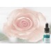 Gorgeous Rose Synergy Blend 10ml