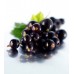 Blackcurrant Seed Oil