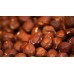 Hazelnut Oil